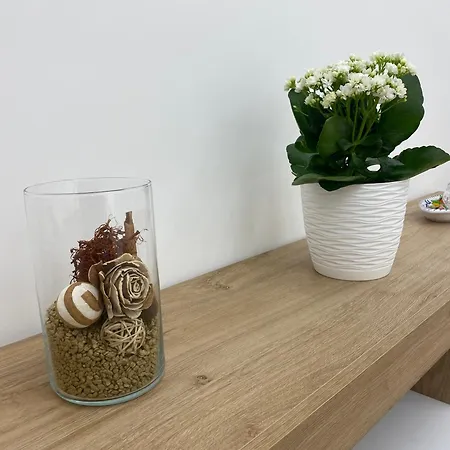 Апартаменты Mare Montenotte